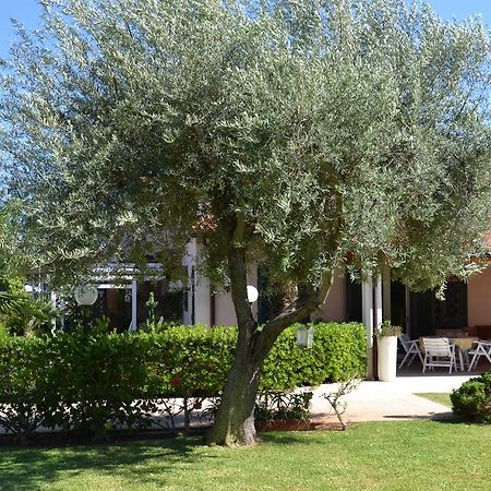 Villa Paola Fontane Bianche Ngoại thất bức ảnh